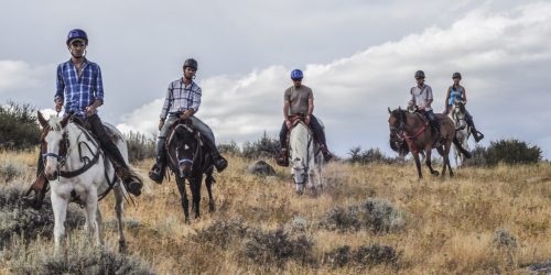 Wyoming Catholic College students https://wyomingcatholic.edu/student-life/horsemanship-2/